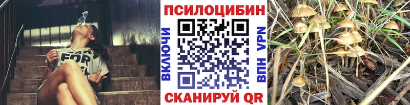 Купить закладки  Курганинск  Галлюциногенные грибы GOLDEN TEACHER 